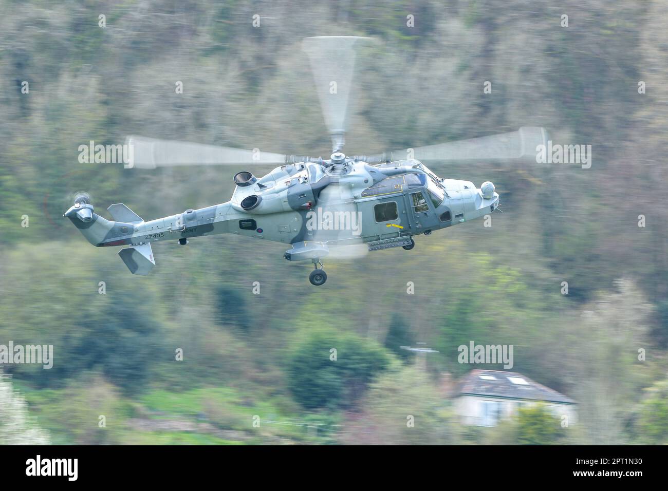 Hélicoptère Wildcat Banque D'Images