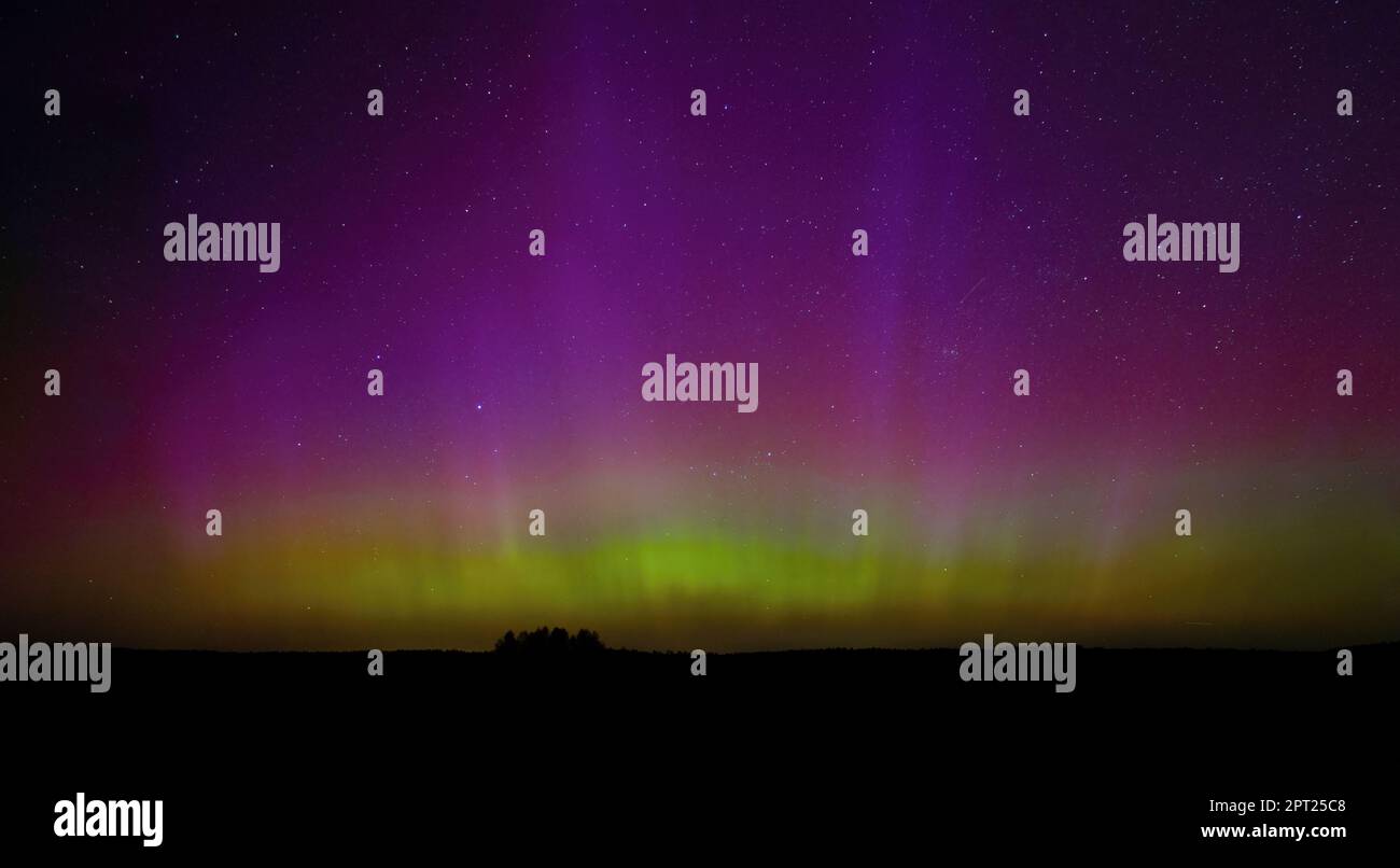 Aurores boréales - Aurora borealis, du côté nord. Lituanie. Banque D'Images