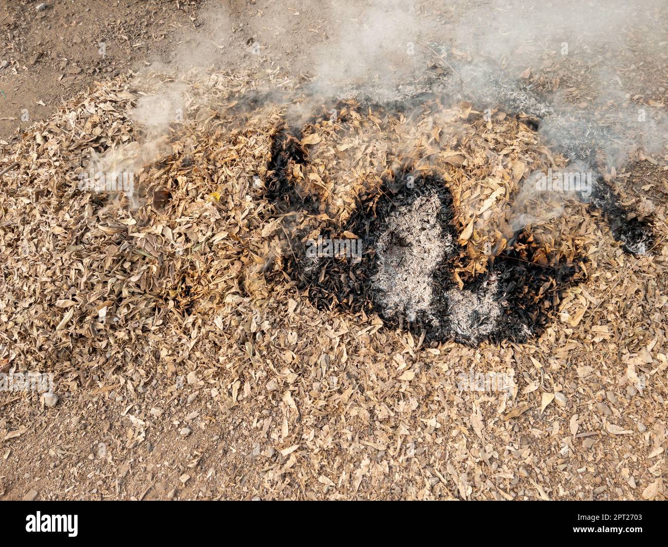 Les tas de feuilles séchées ont été brûlées sur le sol derrière la maison locale.après le temps de nettoyage, vue de face avec l'espace de copie. Banque D'Images