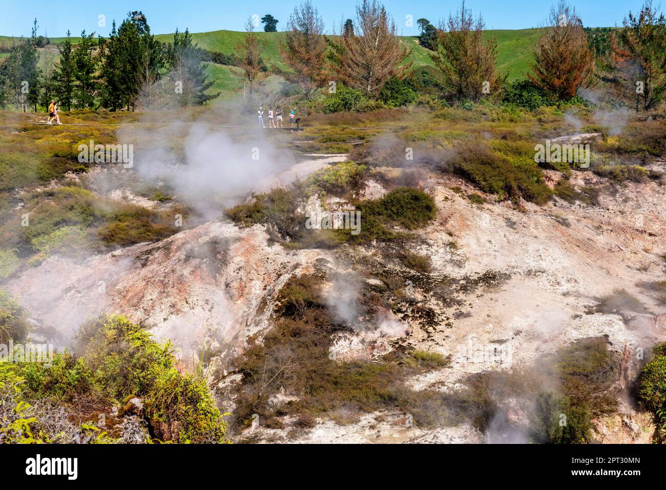 Les cratères de la Lune, Lac Taupo, région de Waikato, Nouvelle-Zélande Banque D'Images