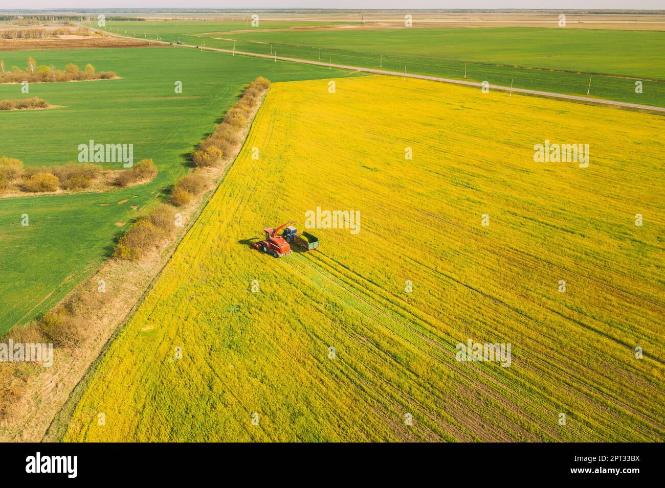 Vue aérienne du paysage rural. Moissonneuse-batteuse et tracteur travaillant ensemble dans les champs. Récolte de graines oléagineuses au printemps. Machines agricoles Banque D'Images