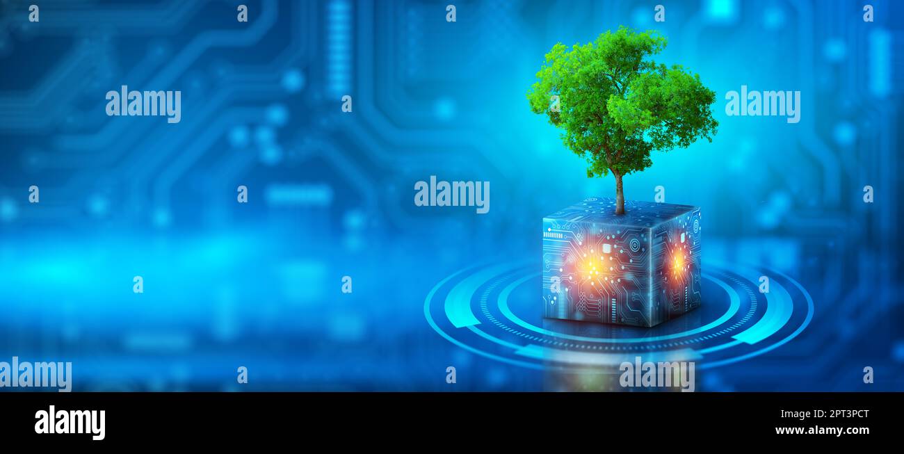 Arbre poussant sur le circuit Digital Cube. Convergence numérique et technologique. Lumière bleue et arrière-plan du réseau filaire. Green Computing, Green Technolo Banque D'Images