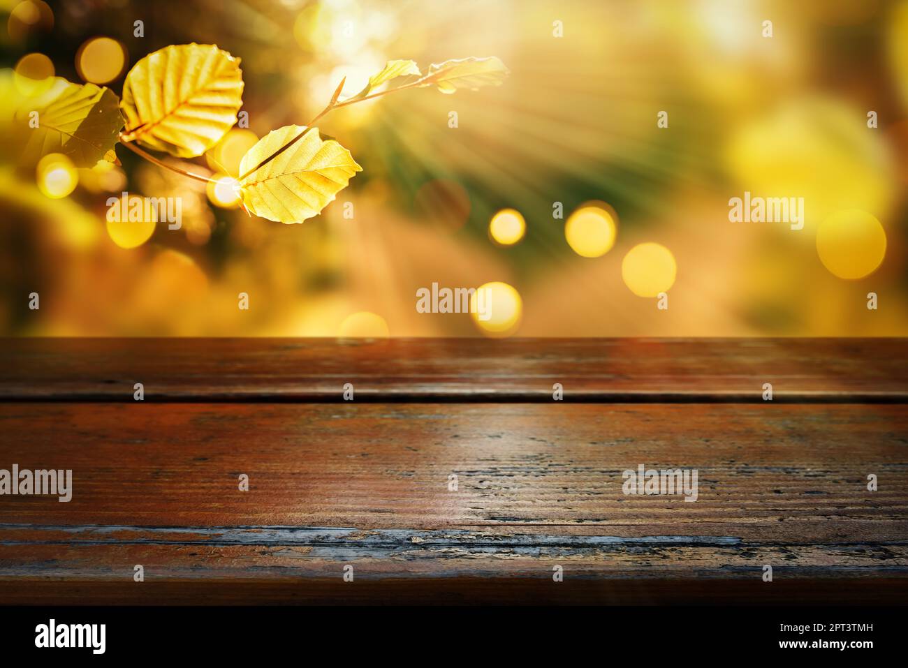 Fond d'automne lumineux avec table en bois. Poutres de soleil et feuilles colorées avec bokeh doré. Vider la table en bois vieillie pour une décoration d'automne Banque D'Images