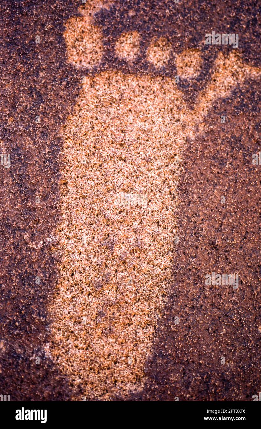 Pétroglyphes du site archéologique de Twyfelfontein, l'Afrique, la Namibie Banque D'Images