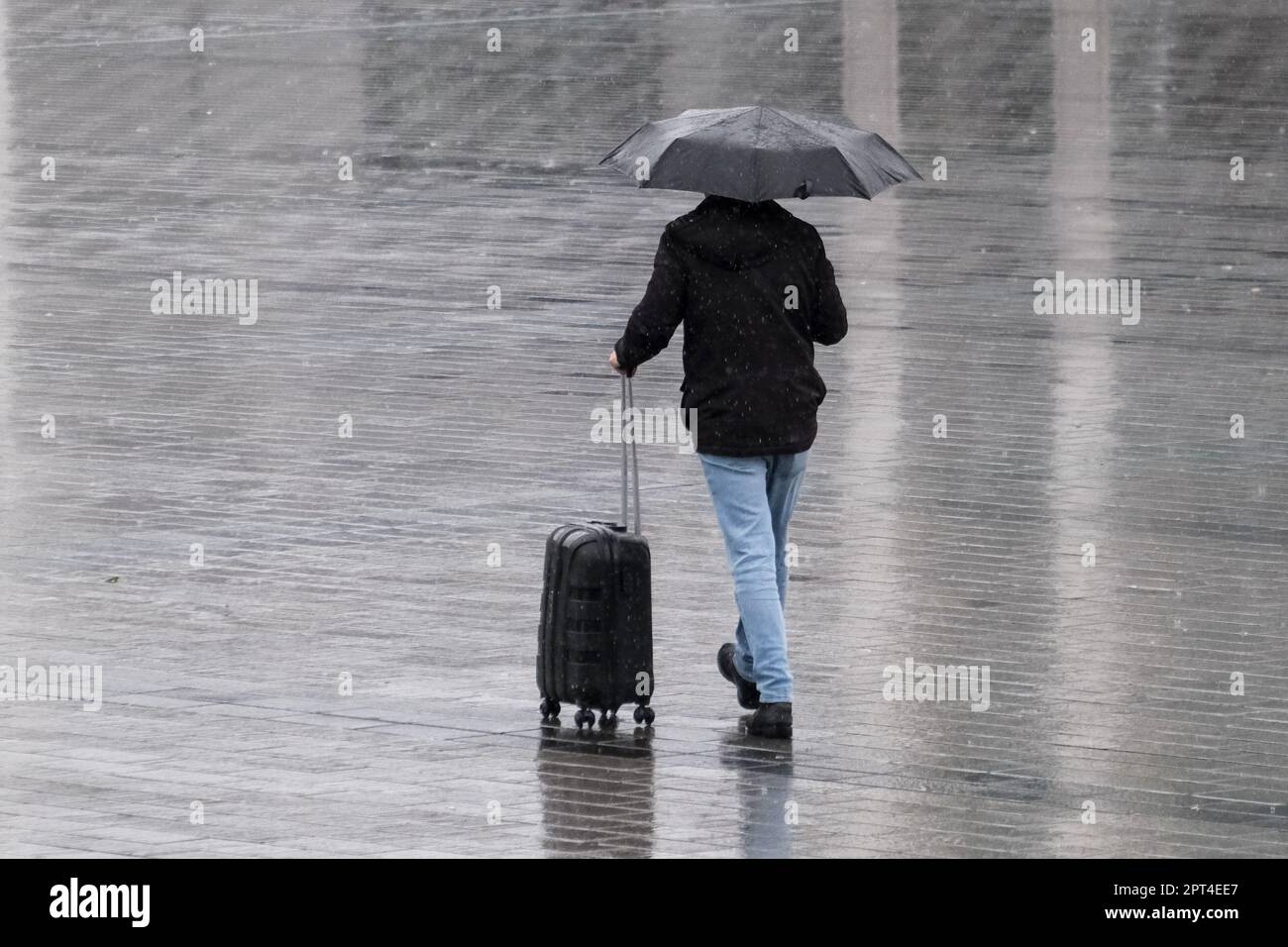 Gros plan homme tenant un parapluie sous la pluie et a une valise qui marche à l'arrière et pas de visage et de réflexion sur le sol. Vacances de pluie concept d'automne. Banque D'Images