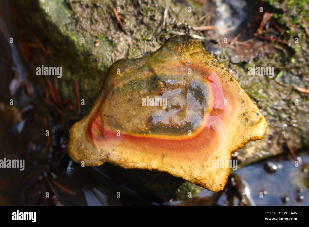 Pierres humides d'un ruisseau avec un motif concentrique-zonal - Liesegang anneaux Banque D'Images