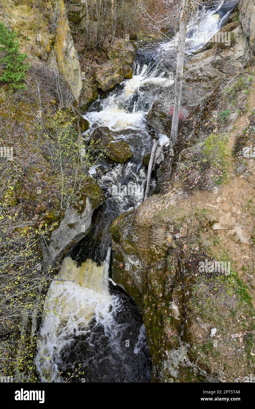 Ravine, ruisseau, parc régional Glen Canyon, West Kelowna, Colombie-Britannique, Canada Banque D'Images