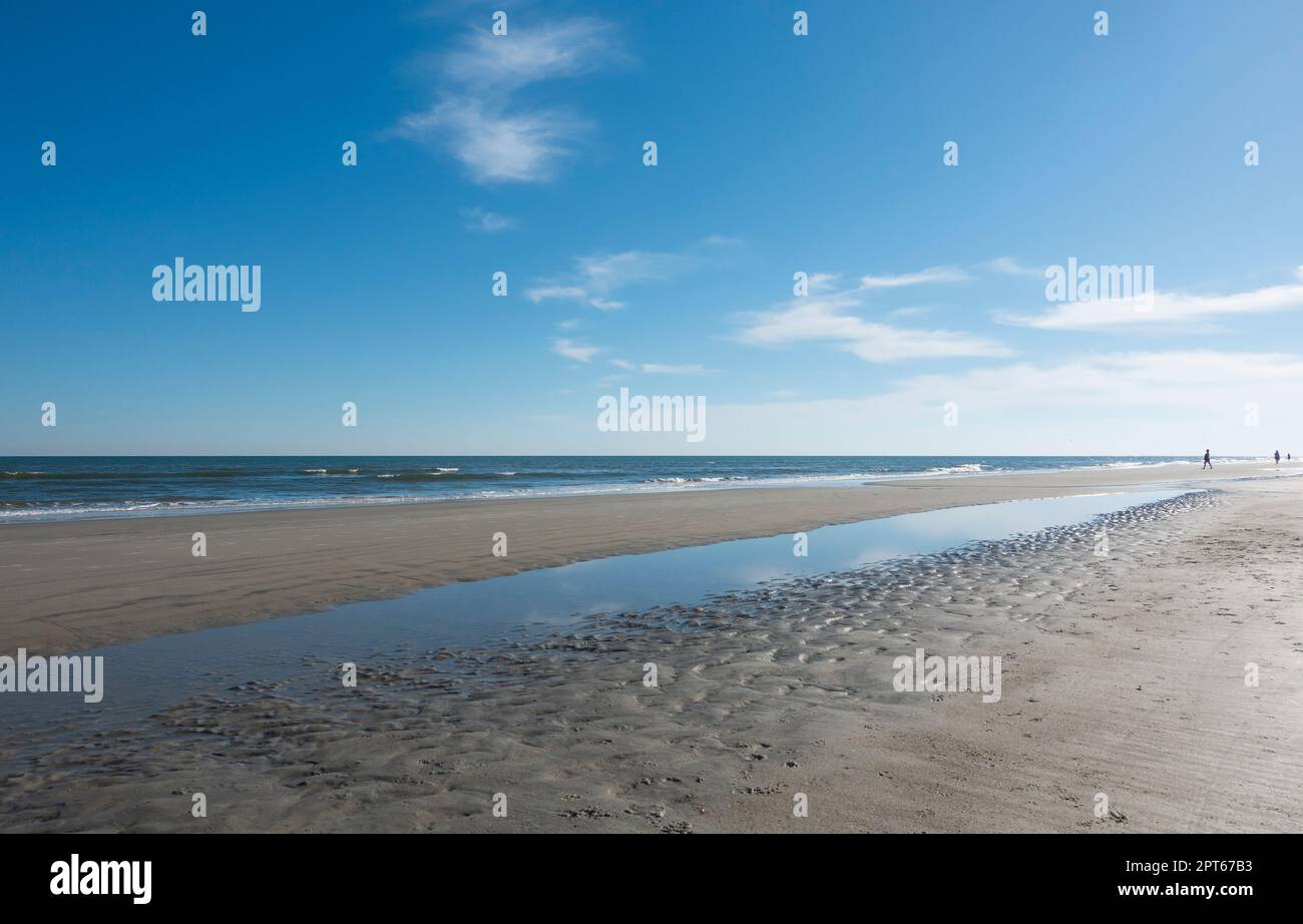 Marée basse sur la plage à Hilton Head Island, Caroline du Sud Banque D'Images