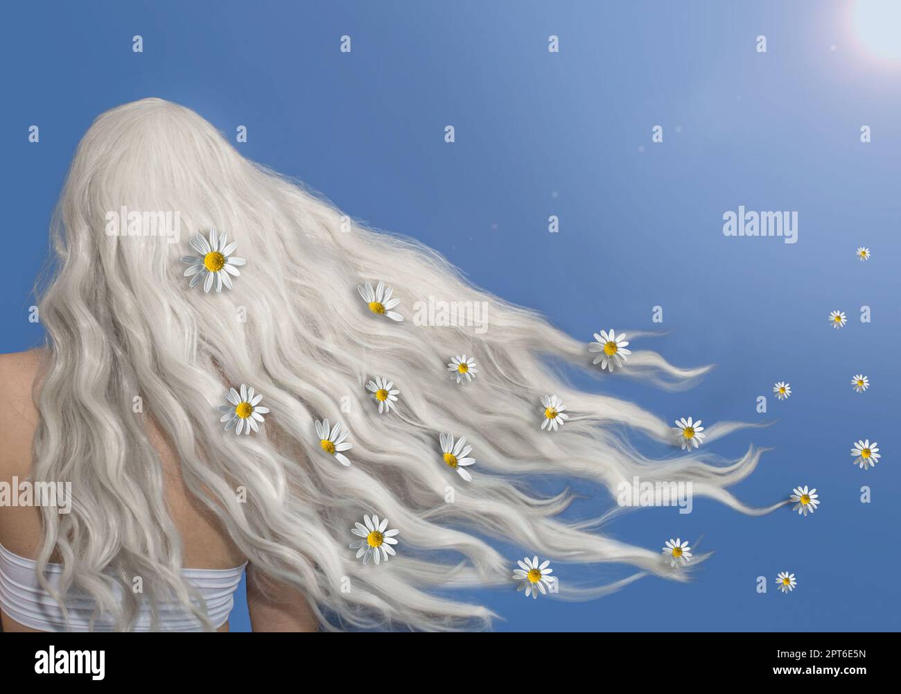 les fleurs blanches de camomille volent dans les cheveux longs blonds contre le ciel au soleil Banque D'Images