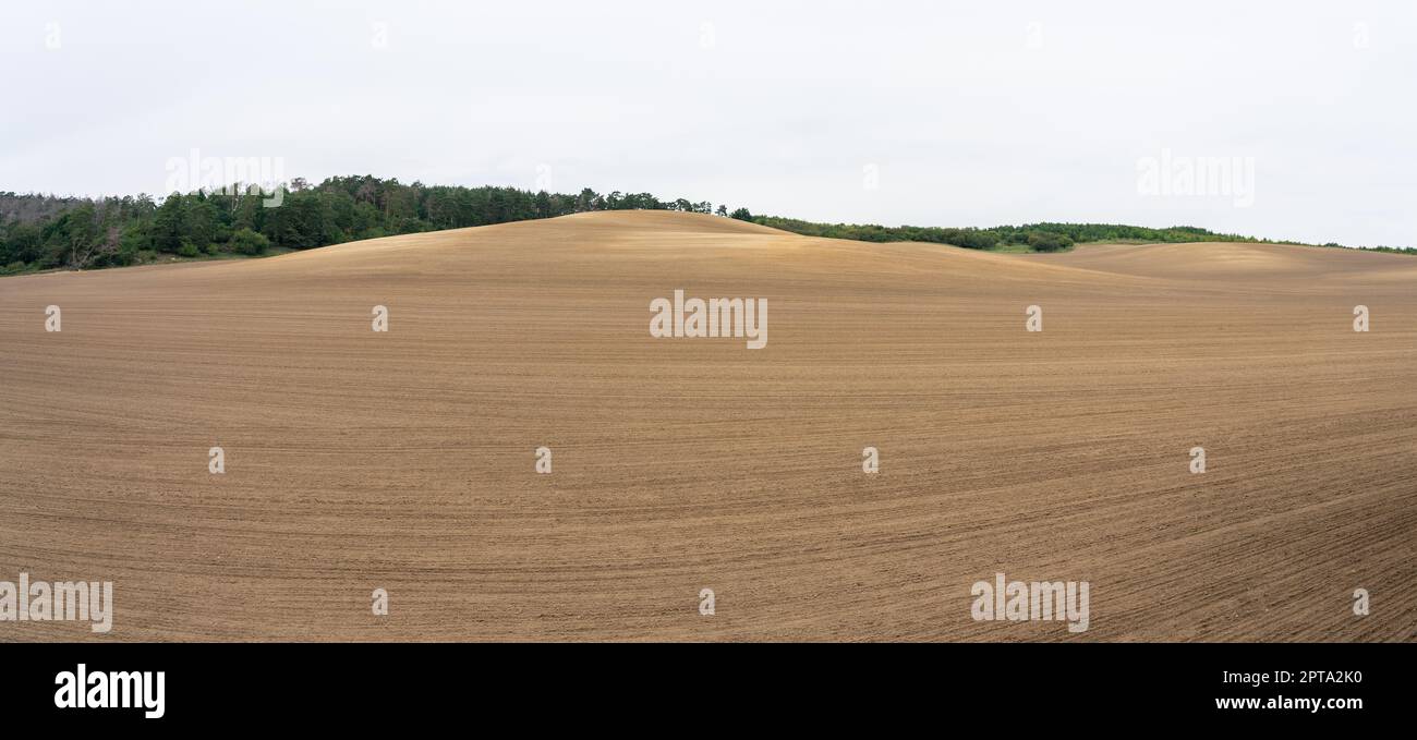 Agriculture. Champ fraîchement labouré. Paysage d'automne. Vue panoramique. Banque D'Images