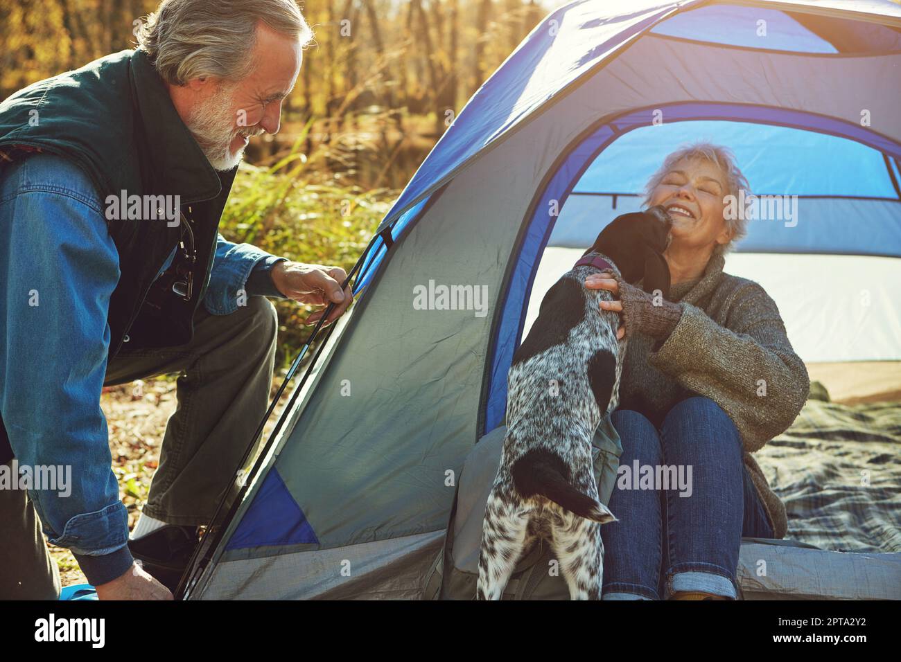 Old couple with a dog Banque de photographies et d'images à haute  résolution - Alamy