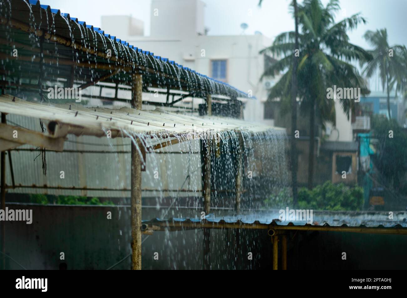 Pluie sur un toit en étain. Pluie tombant du toit. Arrière-plan nature de jour pluvieux. Mise au point sélective sur le premier plan Banque D'Images