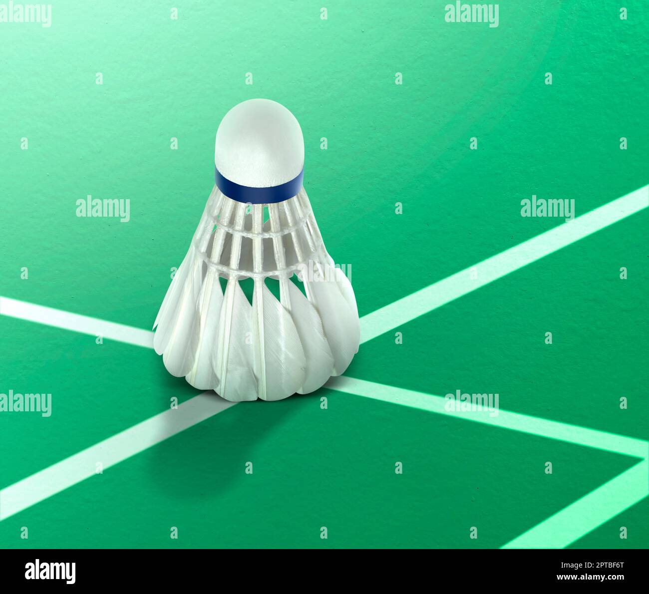 Ballon de badminton intérieur sur un terrain de badminton vert Banque D'Images