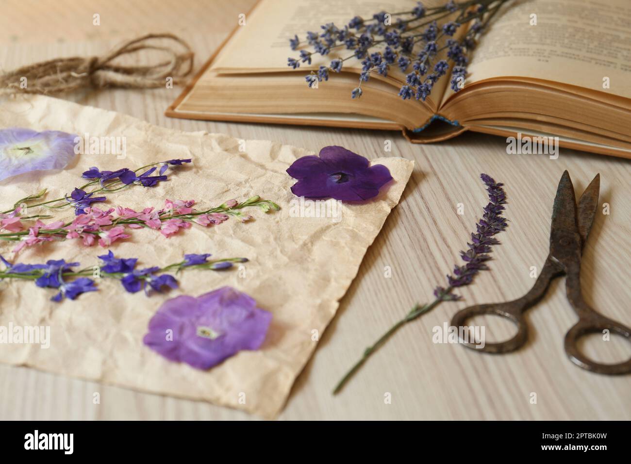 Belles fleurs séchées, livre et ciseaux sur table en bois, gros plan Banque D'Images