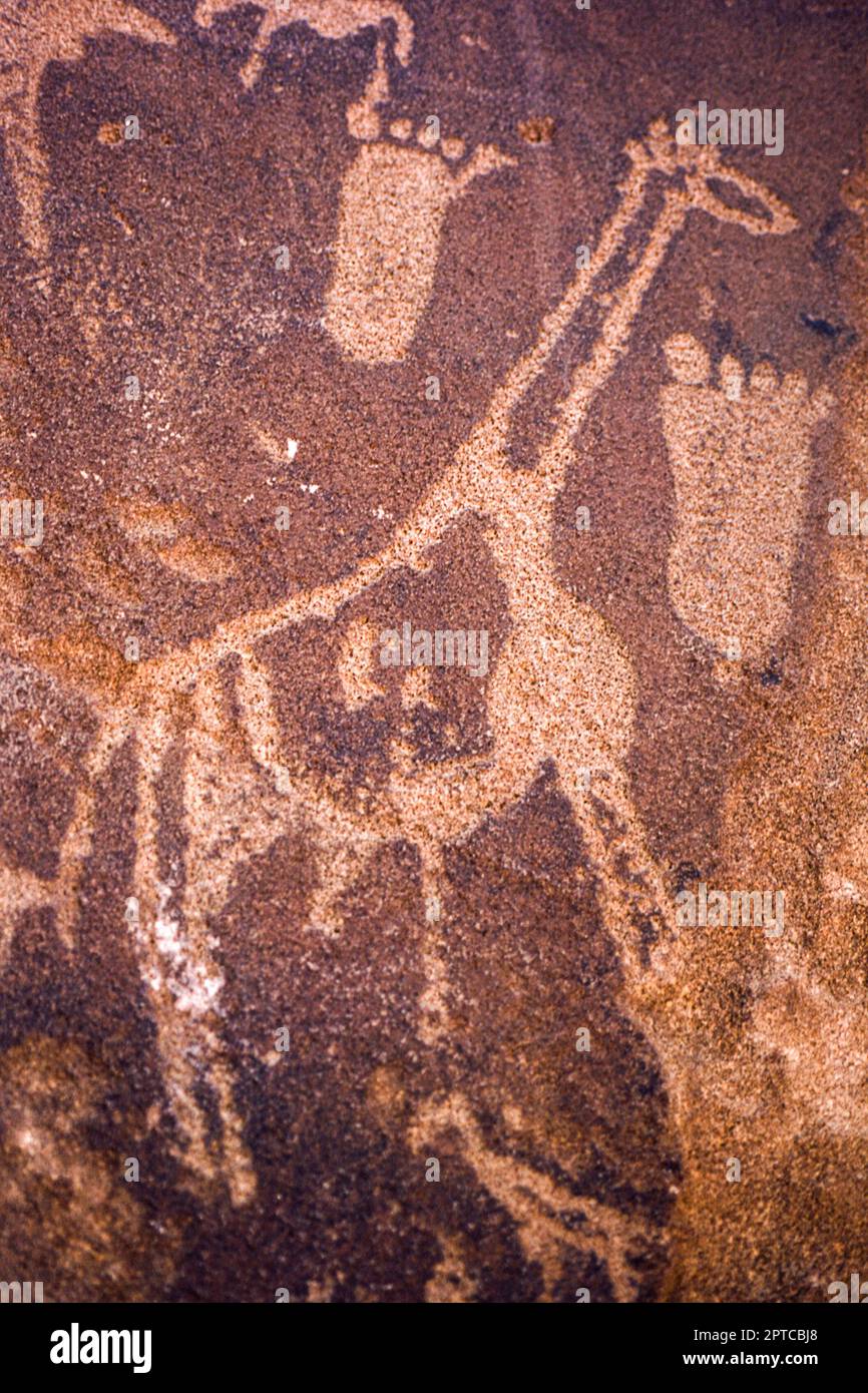 Pétroglyphes du site archéologique de Twyfelfontein, l'Afrique, la Namibie Banque D'Images
