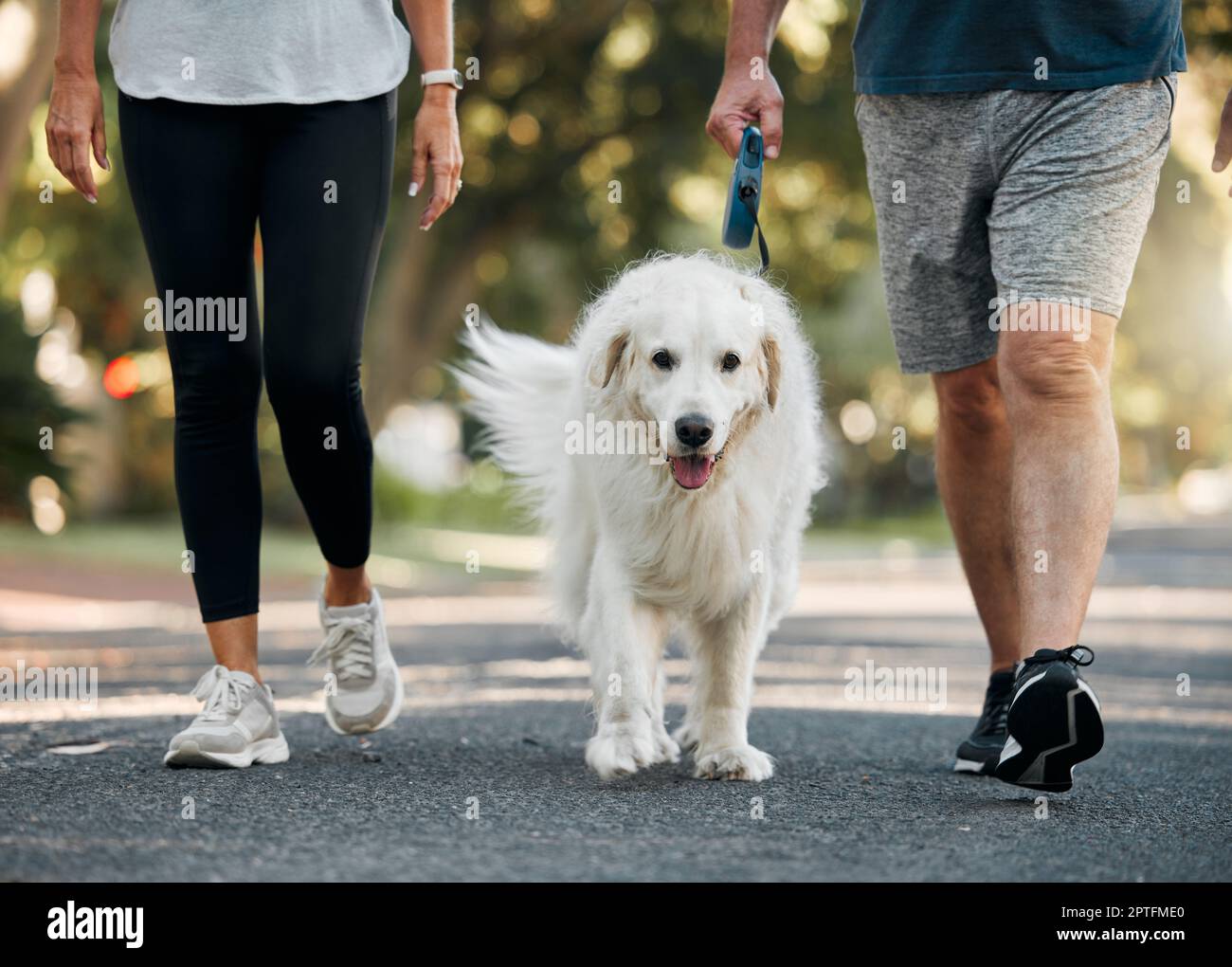 Couple marchant le chien dans un parc pour l