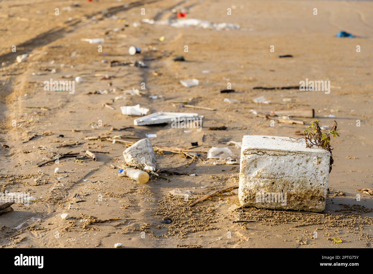 Déchets sur la plage de sable Banque D'Images