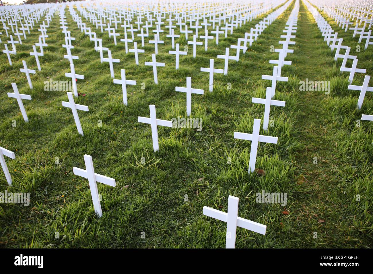 ANZAC, Gallipoli, victimes de la guerre réprimandées Banque D'Images