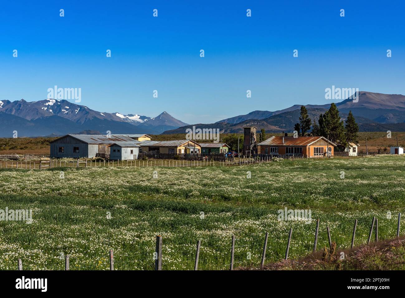 Ferme sur le fjord Ultima Esperanza, Puerto Natales, Chili Banque D'Images