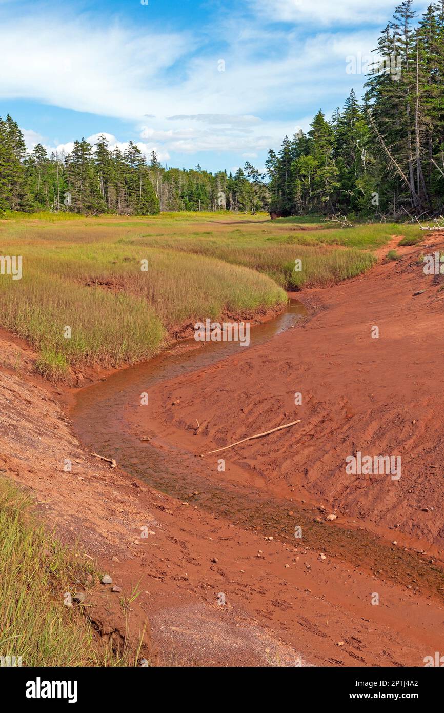 Estuaire côtier à faible Tide dans la baie de Té-Té-Té-Fundy, en Nouvelle-Écosse Banque D'Images