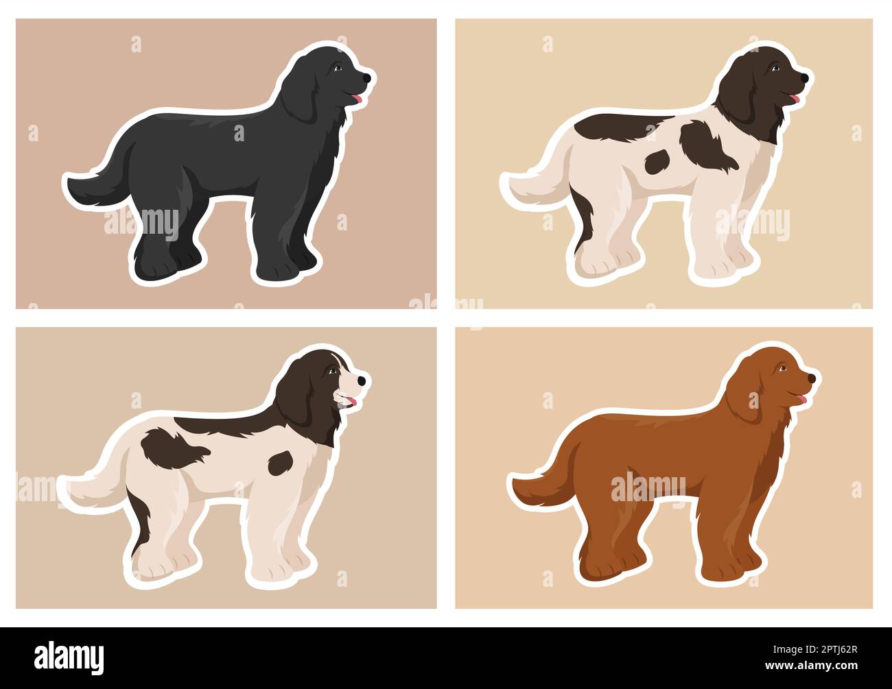 Newfoundland Dog Animals with Black, Brown or Landseer Color in Flat style Cute dessin à la main de dessin de dessin animé Illustration de Vecteur