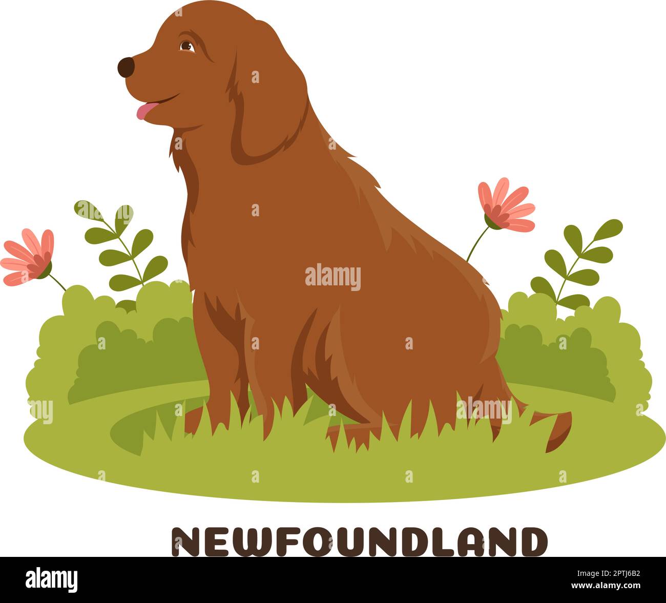 Newfoundland Dog Animals with Black, Brown or Landseer Color in Flat style Cute dessin à la main de dessin de dessin animé Illustration de Vecteur