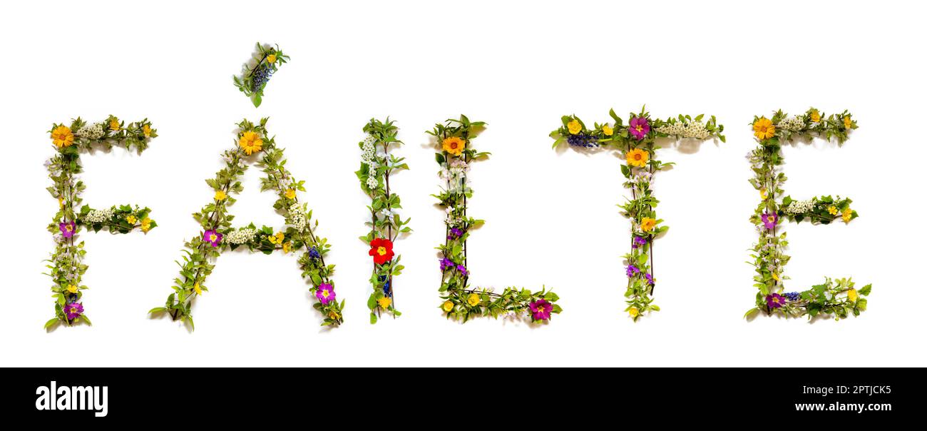 Fleurs colorées Bâtiment de Word Failte, arrière-plan isolé Banque D'Images