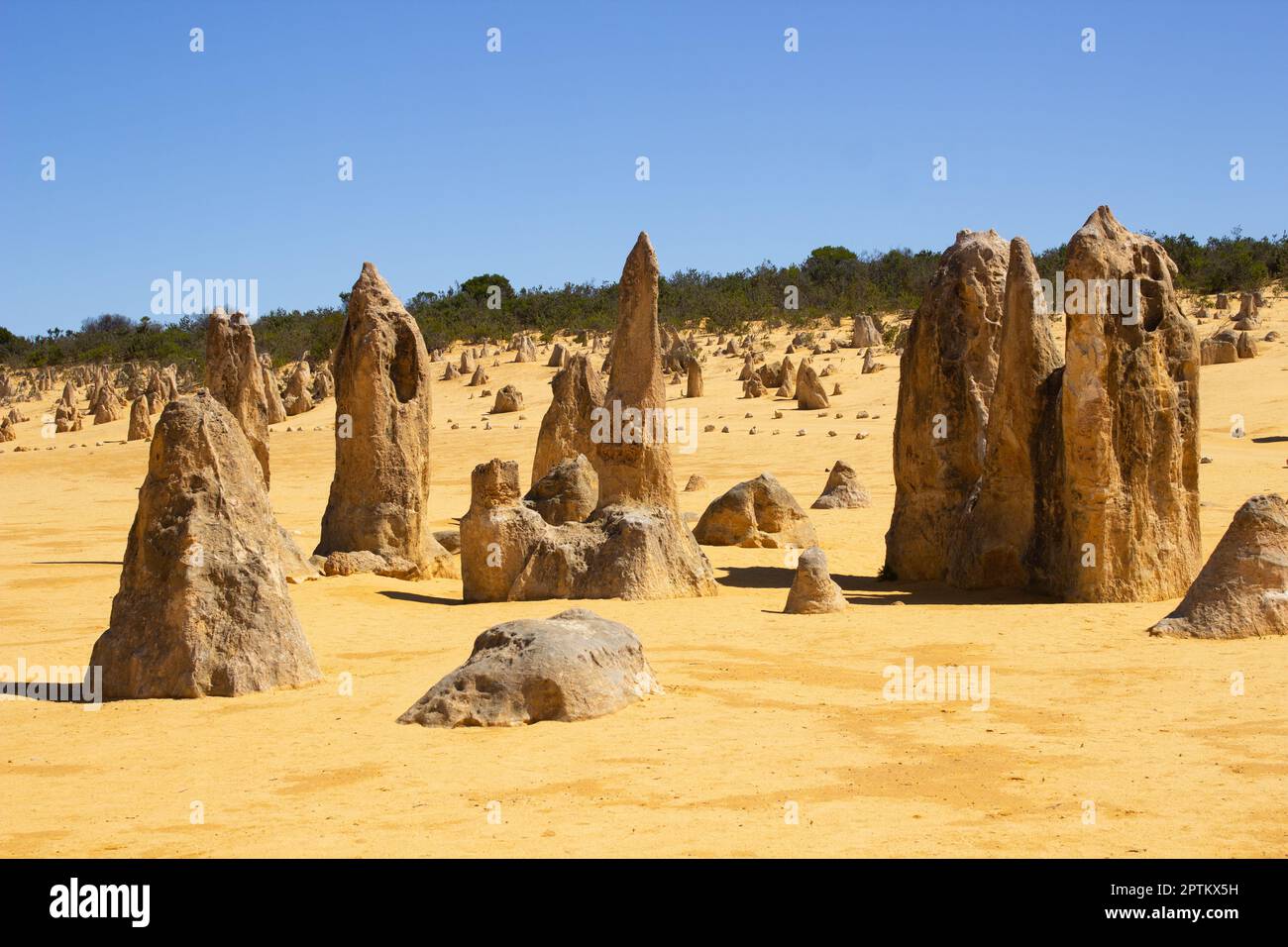 Pinnacles australiennes au parc national de Nambung, Australie occidentale. Banque D'Images