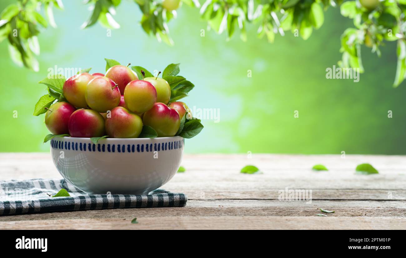 Un bol de prunes fraîches sur la table de jardin. Fruits d'été. Prunes vertes mûres. Concept de fruits biologiques. Banque D'Images