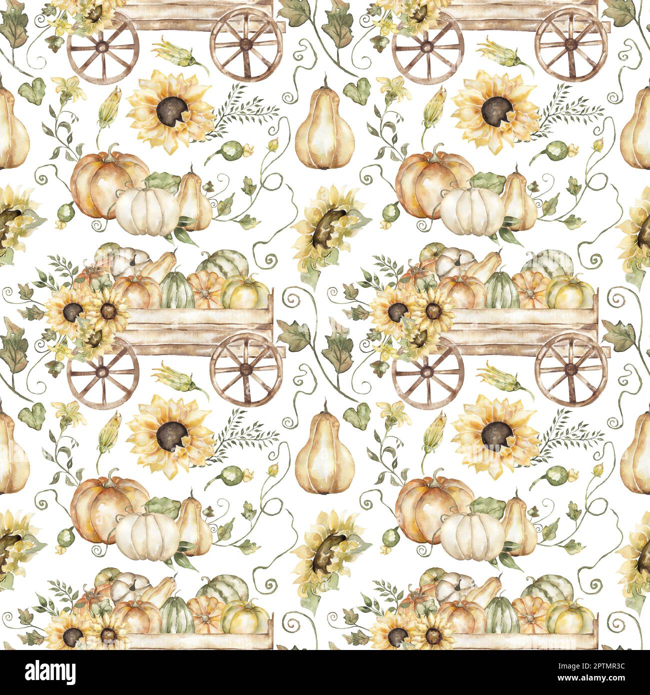 Aquarelle potiron et tournesol dessinés à la main dans le motif en bois sans couture. Feuilles de papier de fleurs d'automne. Magnifique imprimé textile Banque D'Images