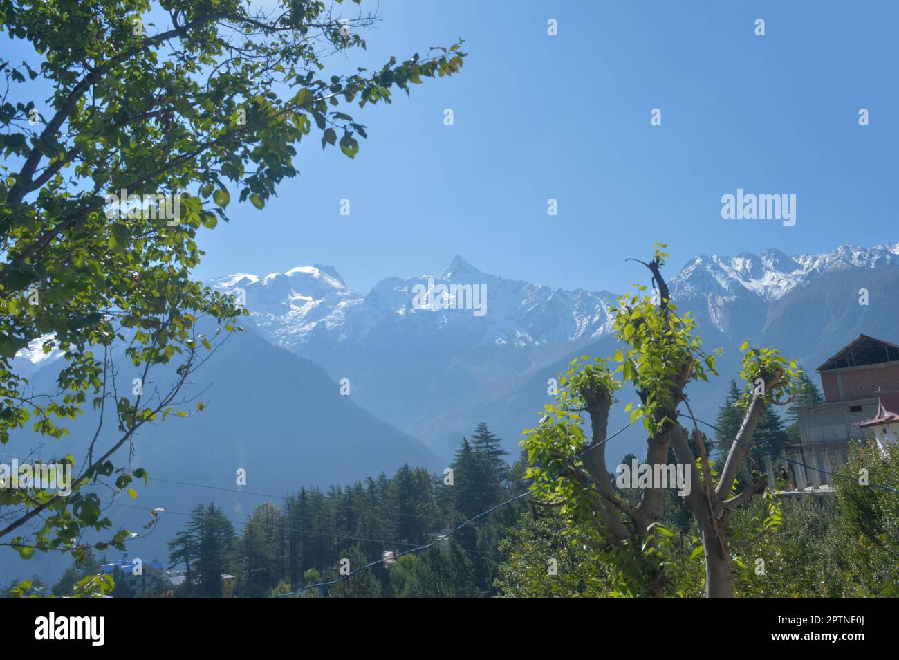 Chaîne de montagne enneigée contre le ciel bleu en arrière-plan avec des arbres encadrant au premier plan. Banque D'Images