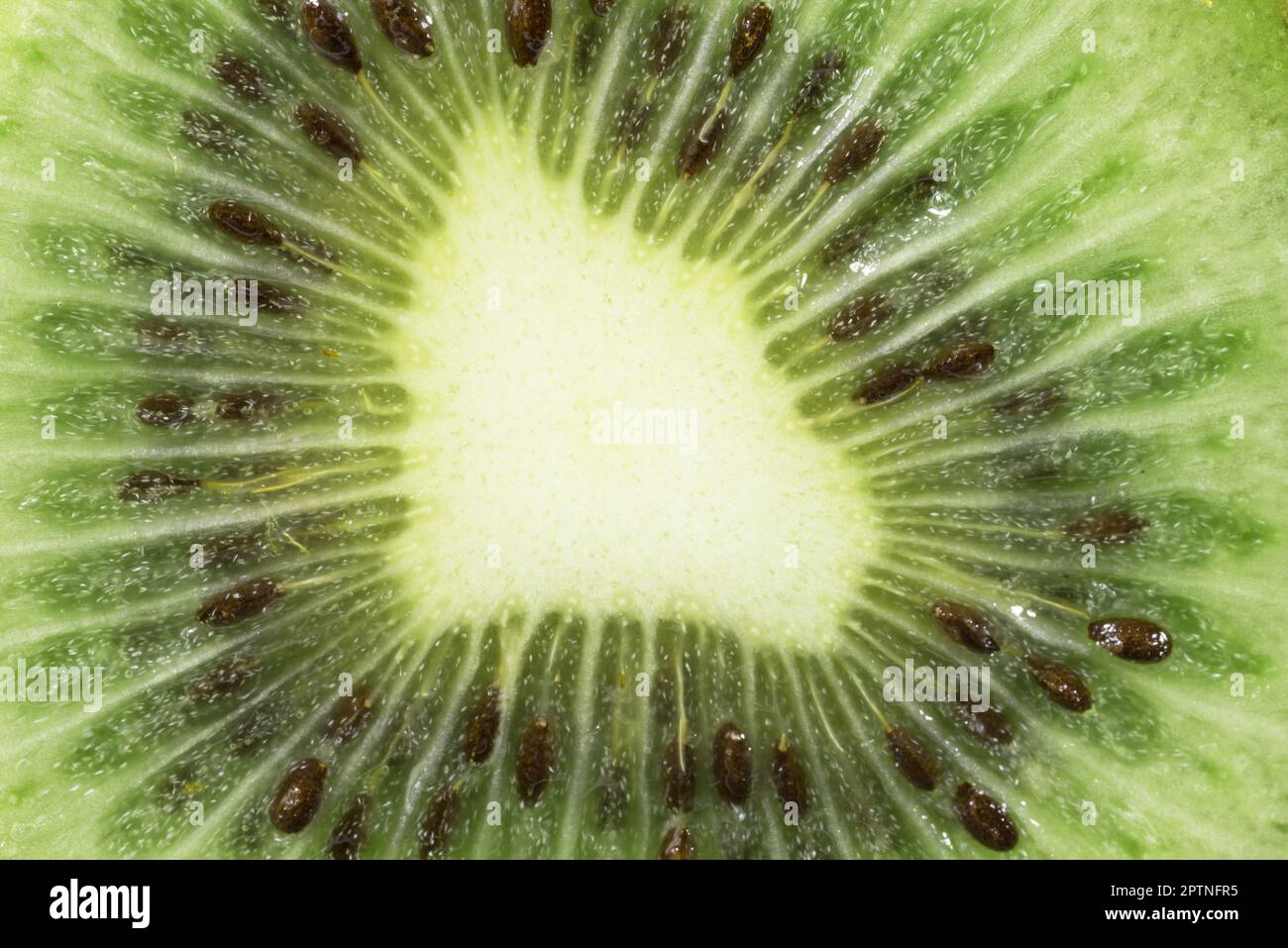 foto macro di un bel kiwi verde, kiwi verde au piano primo Banque D'Images