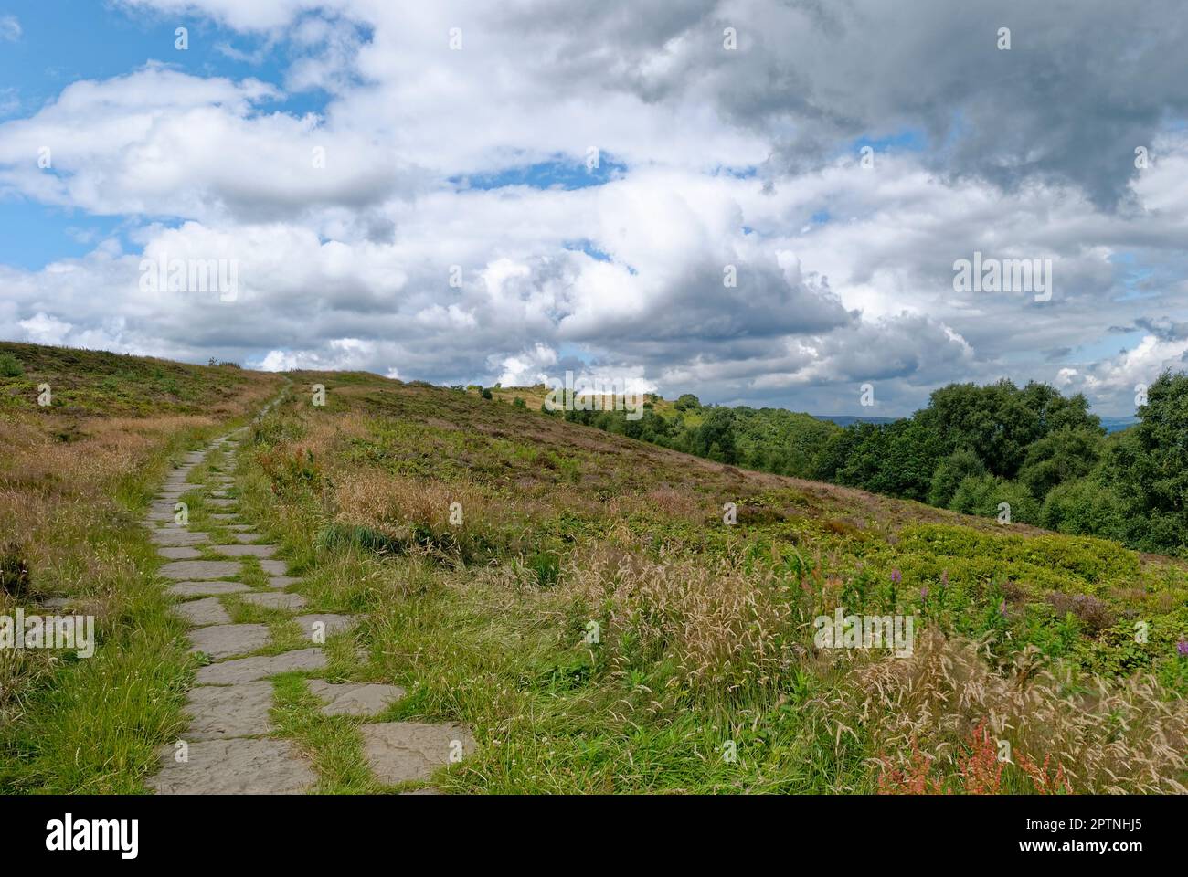 Le sentier de trottoir fait de dalles de chemin de terre en train de courger la crête du Chevin à travers le Grassland au-dessus de la ville du marché d'Otley. Banque D'Images