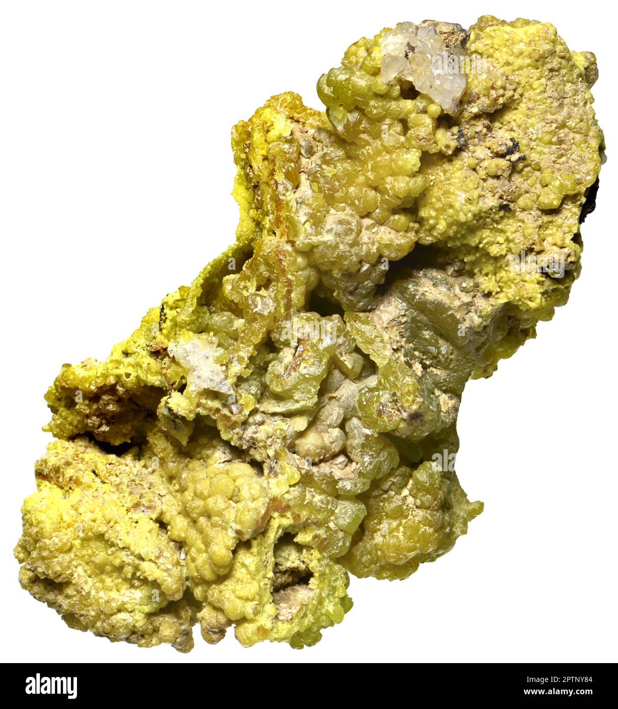 Pyromorphite verte [ Pb5(PO4)3Cl ] échantillon c.5cm de long Banque D'Images