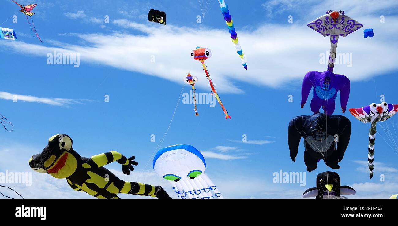 Image d'un rassemblement de nombreux cerfs-volants sur la plage de Pinarella di Cervia. Pinarella di Cervia, Ravenne, Italie Banque D'Images