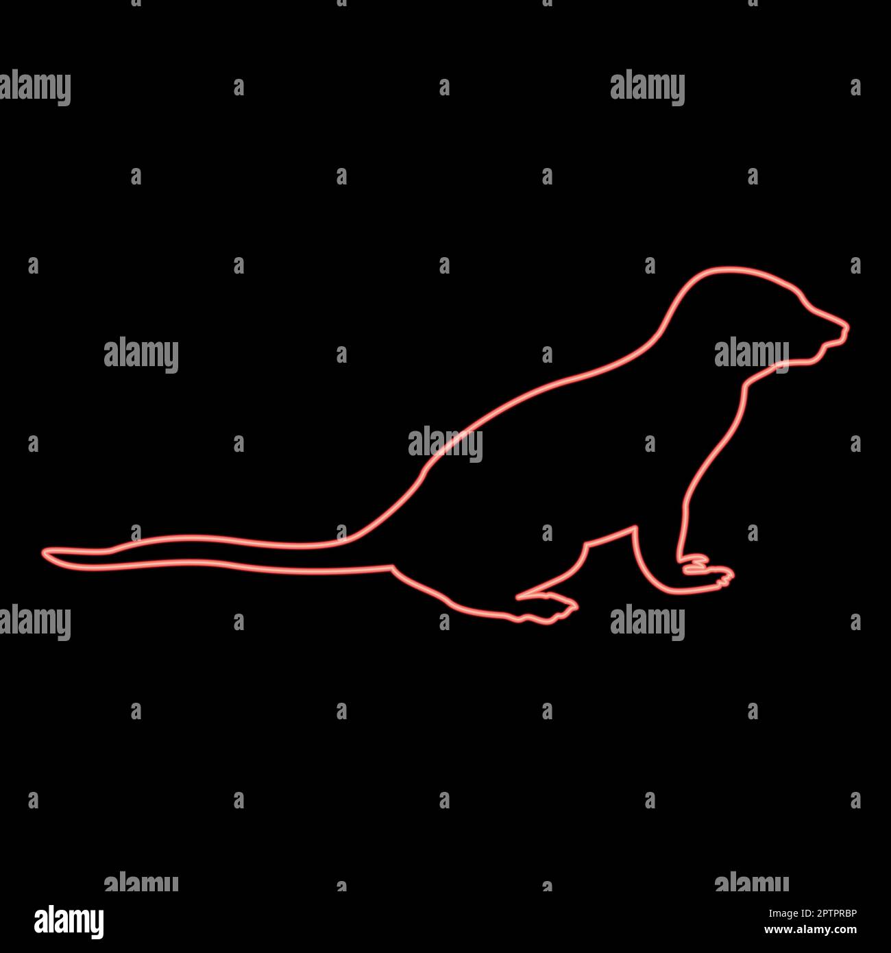 Neon meerkat en pose Suricata suricata rouge couleur vecteur illustration image plat style Illustration de Vecteur