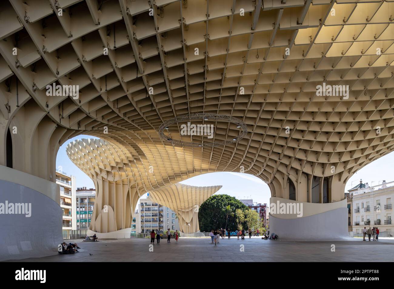 Las Setas de Sevilla ou Metropol parasol à la Plaza de la Encarnación, Séville, Espagne Banque D'Images