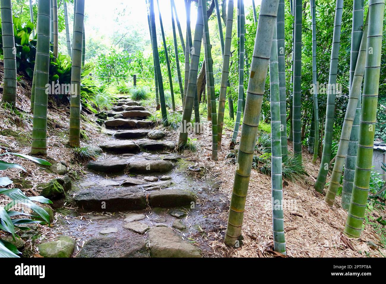 Jardins japonais Todoroki - Setagaya, Tokyo, Japon Banque D'Images