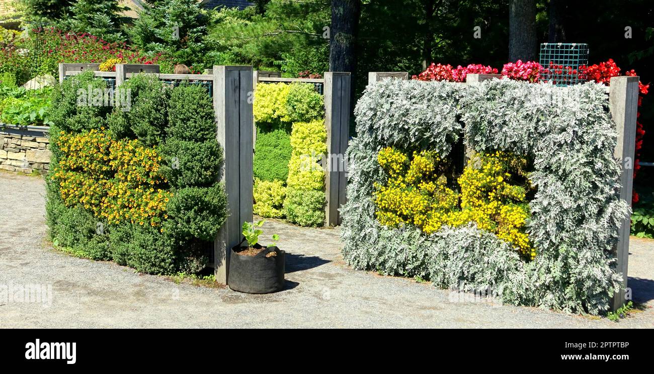 Jardin vertical - Jardins botaniques côtiers du Maine Banque D'Images