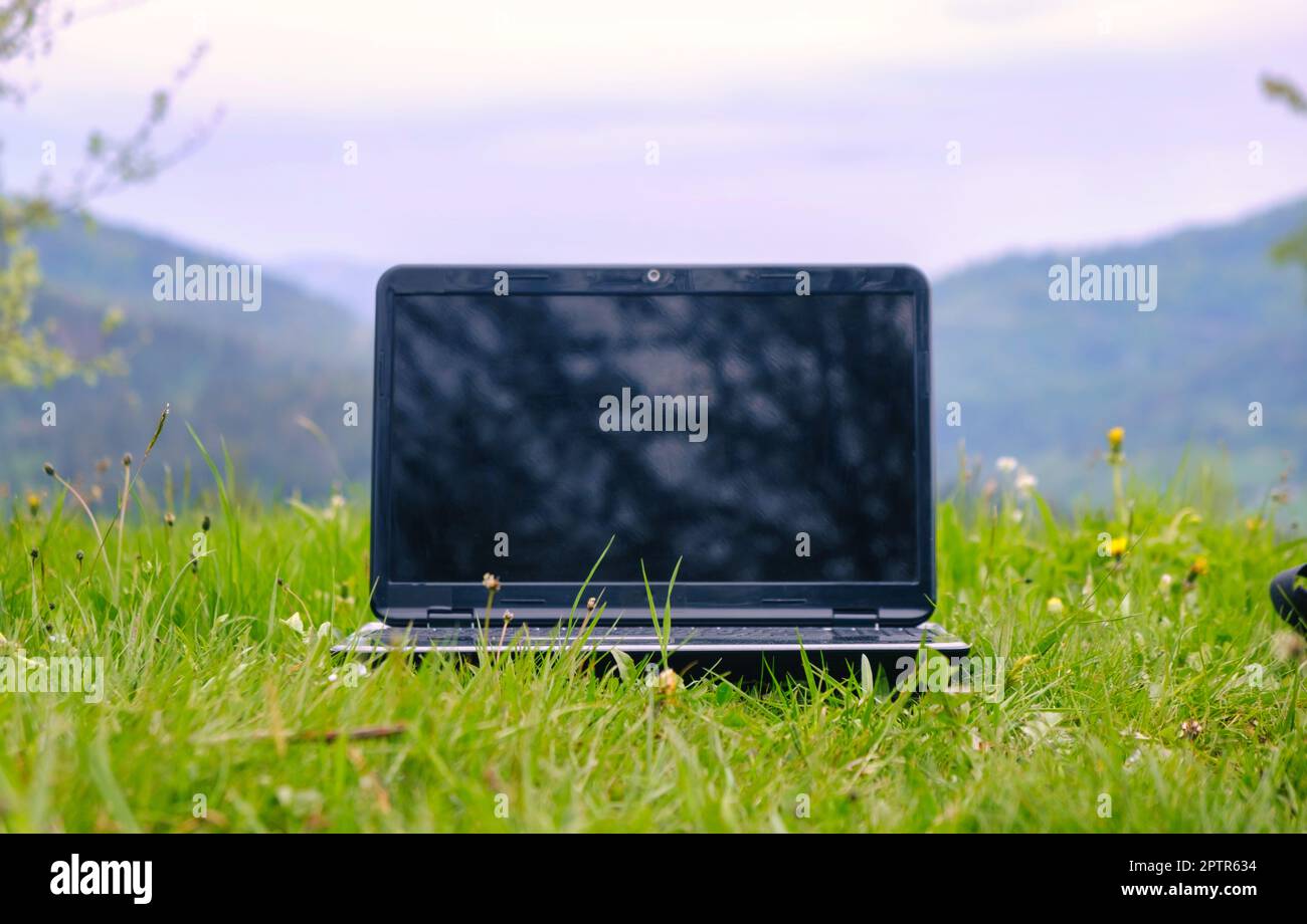 Ordinateur portable sur l'herbe. Ordinateur portable sur herbe verte dans le parc. Travailler à l'extérieur. Écran vide. Ordinateur portable en arrière-plan. L'écologie voyage et travaille à l'extérieur du bureau Banque D'Images