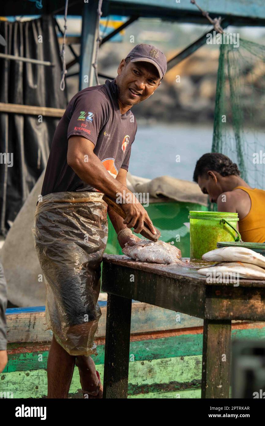 Couteau à poisson faisant son travail tôt le matin à Matara, Sri Lanka Banque D'Images