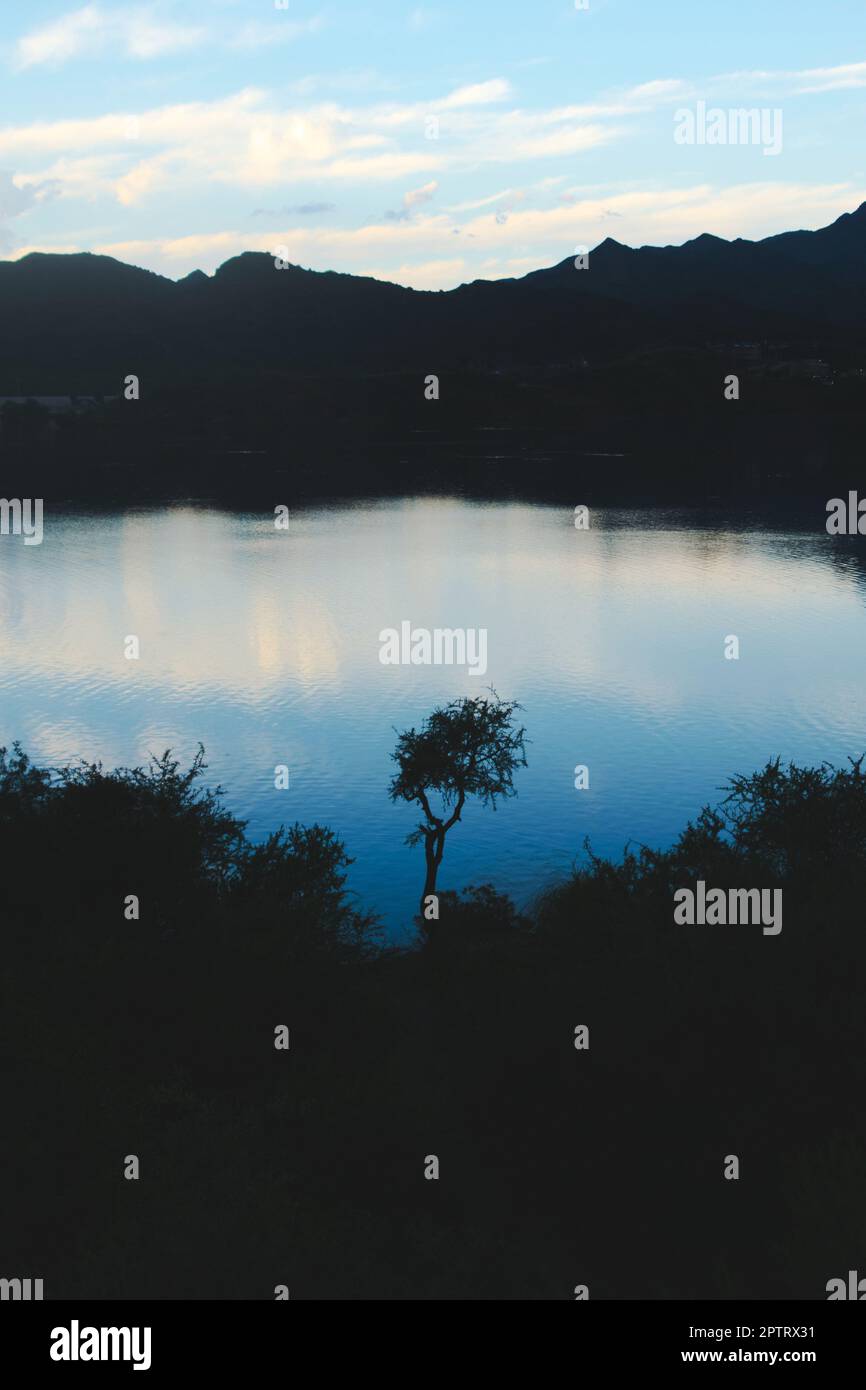 Un arbre à épines isolé silhouetté contre les reflets du ciel crépuscule sur le lac Potrero de los Funes, à San Luis, en Argentine. Banque D'Images