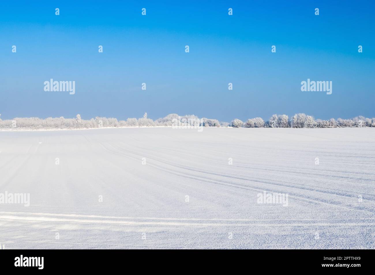 Une parcelle de terre agricole blanche recouverte de neige en hiver par une journée ensoleillée Banque D'Images