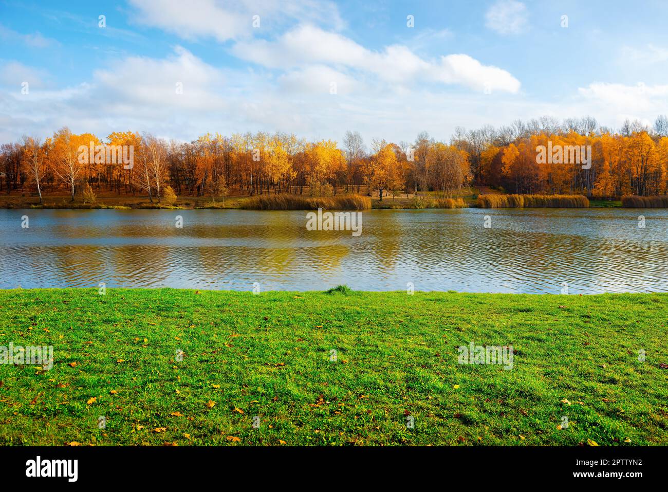 Lac dans un parc à Katowice en automne Banque D'Images