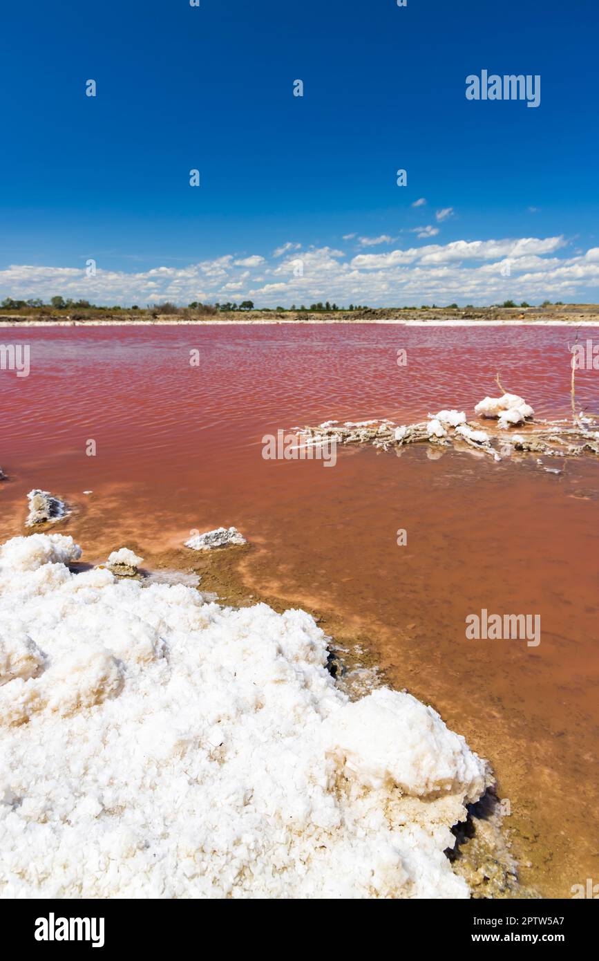 Salin de Giraud en Camargue, Provence, France Banque D'Images