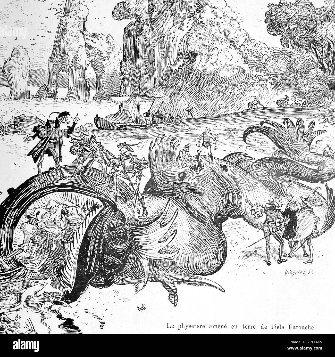 Albert Robida - Rorqual toronné Banque D'Images