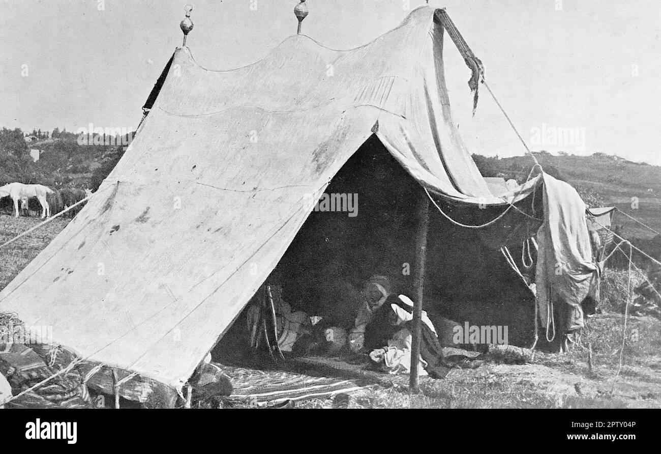 La vie au Maroc, Afrique, c1905. Tente d'un cheikh algérien. La domination française en Algérie a duré de 1830 à 1962. D'une photo non attribuée. Banque D'Images