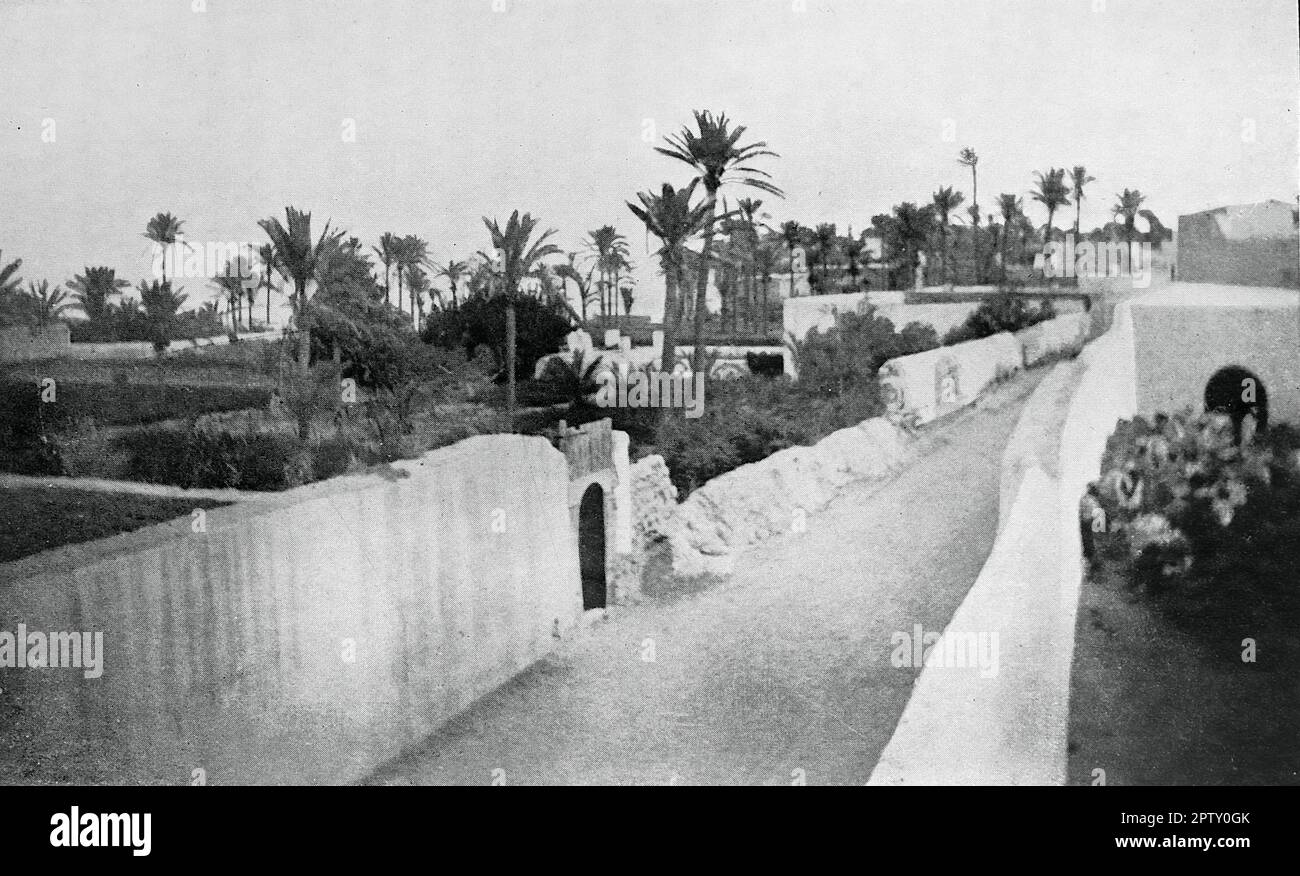 La vie au Maroc, Afrique, c1905. À l'extérieur de Tripoli. Un chemin avec des murs de chaque côté avec des jardins et des palmiers à l'intérieur. D'une photo de G. Michell. Banque D'Images