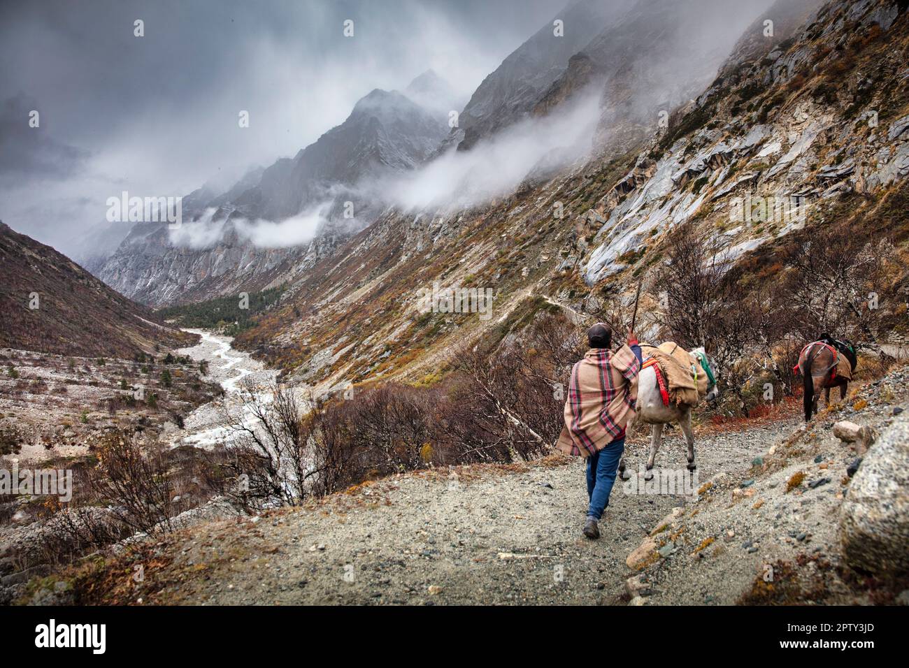Inde, Uttarakhand, Gangotri. Himalaya. Lieu de pèlerinage. Rivière Bhagirathi, source de Ganga, rivière Ganges. Trekking à Gaumukh, le bord du Gangotr Banque D'Images