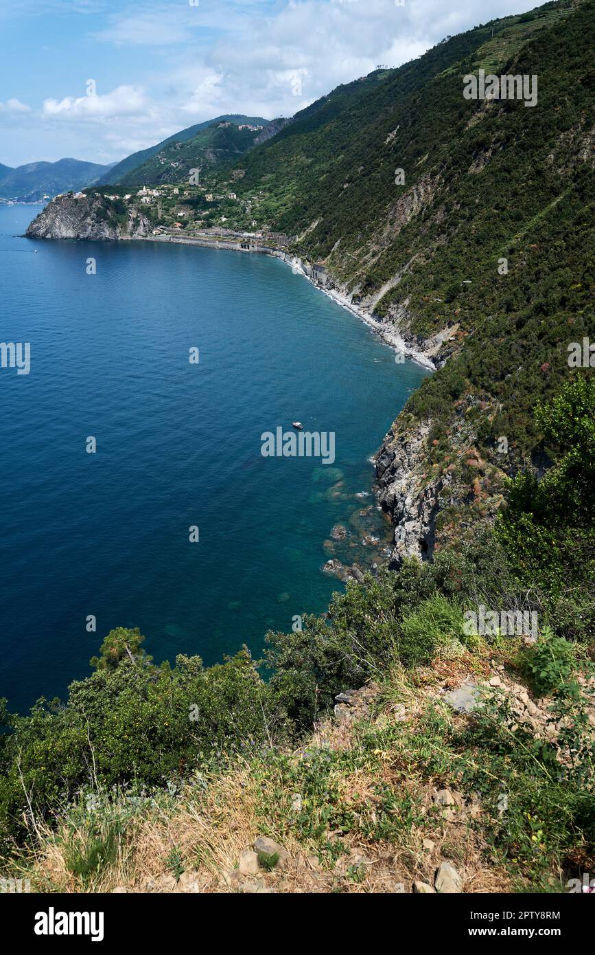 Paysage typique de la région des Cinque Terre Banque D'Images